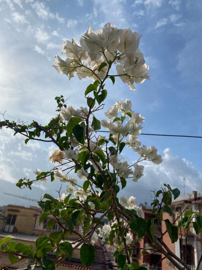 Pompei Terafi Home Екстер'єр фото